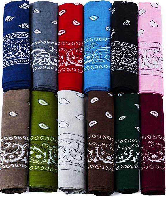 Paisley Cotton Bandanas Dozen Pack 22X22 (16 Colors)