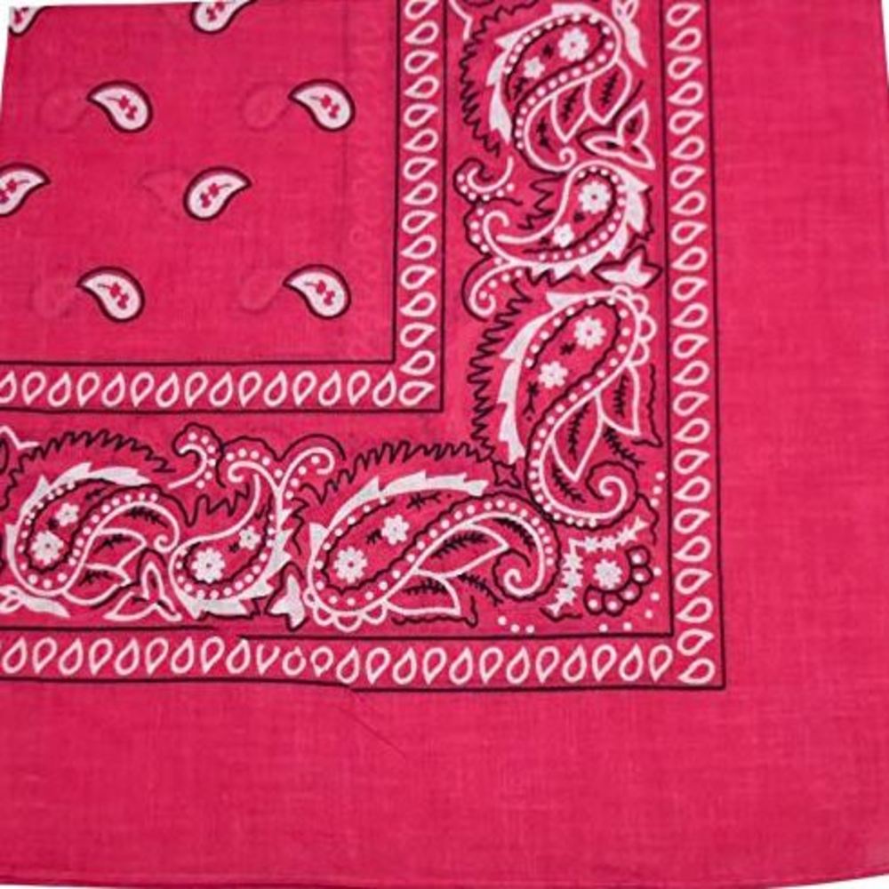 Paisley Cotton Bandana 27X27 (Dozen Pack)