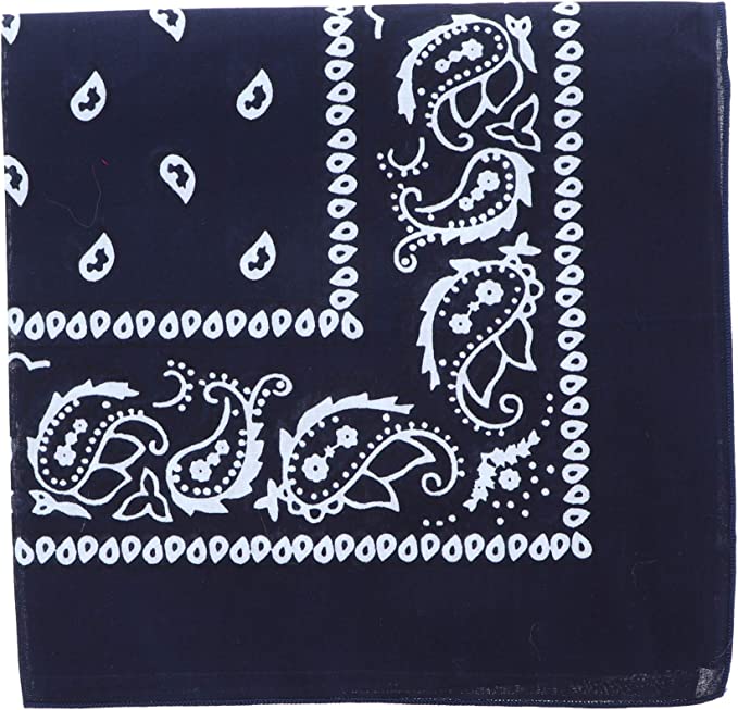 Paisley Cotton Bandana 27X27 (Dozen Pack)