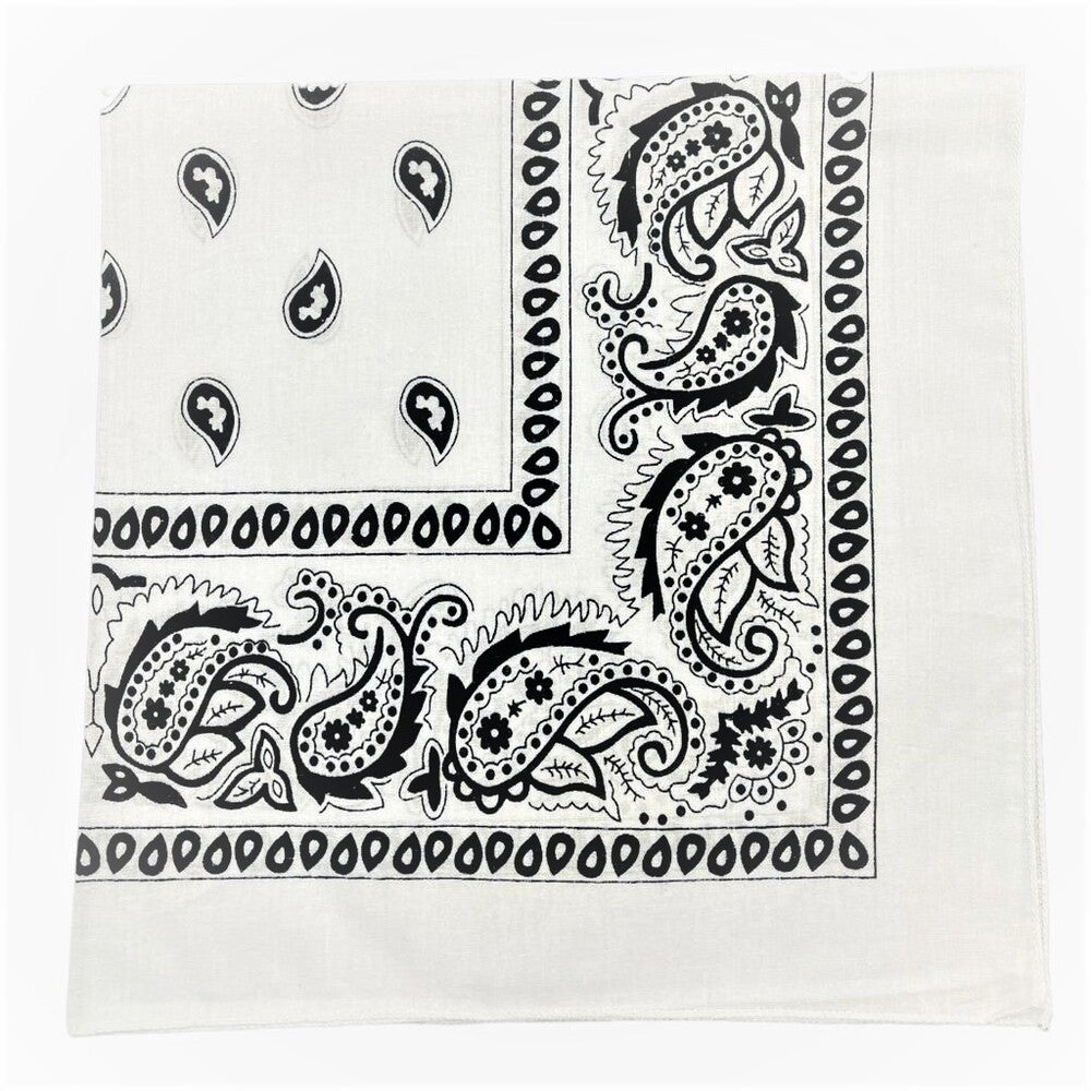 Paisley Cotton Bandana 27X27 (Dozen Pack)